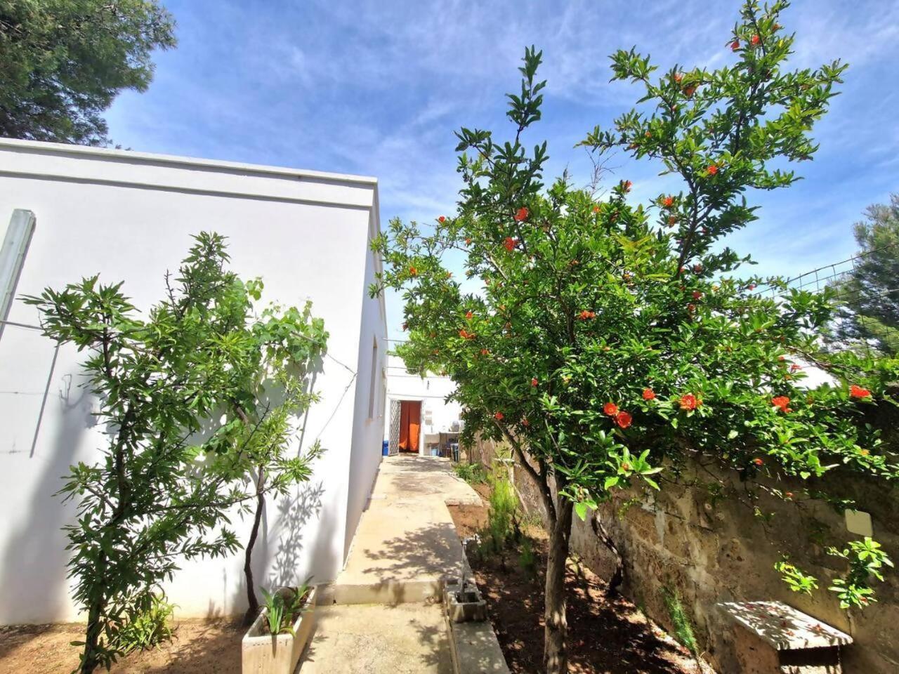 Villa Turchese Santisidoro Nordsudcasavacanza Torre Squillace Bagian luar foto